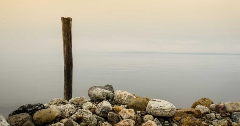 AI and Machine Learning: Transforming Industries and Shaping the Future in 2026