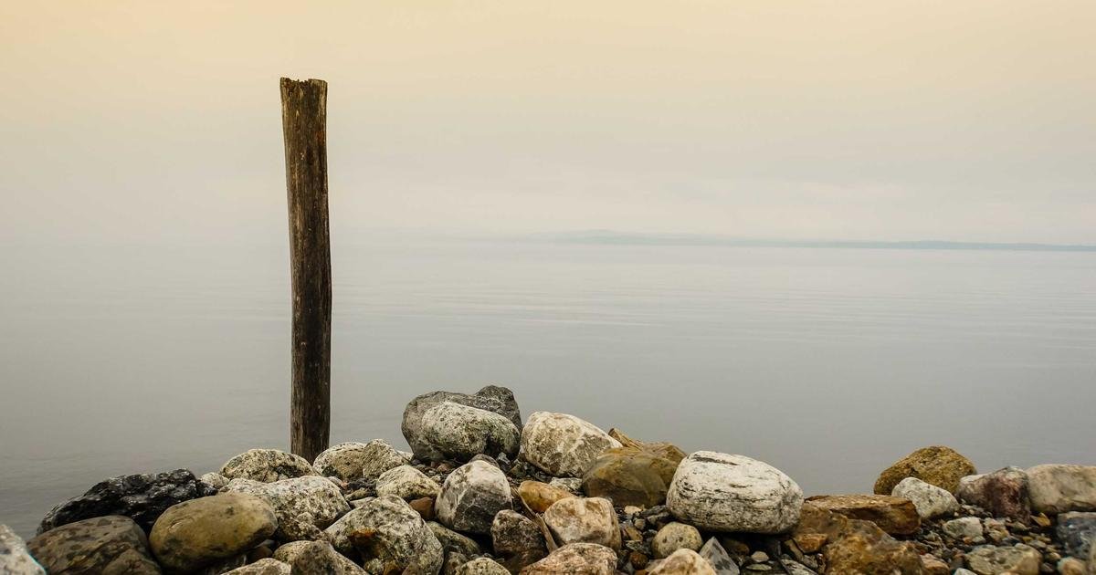 AI and Machine Learning: Transforming Industries and Shaping the Future in 2026