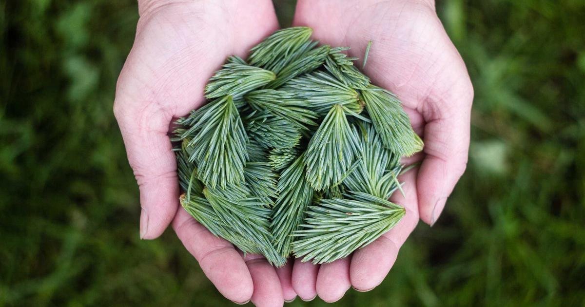 Essential Business Strategies for 2024: A Complete Guide to Modern Success