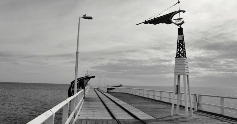 Health and Wellness Trends 2025: The Complete Guide to Modern Well-Being