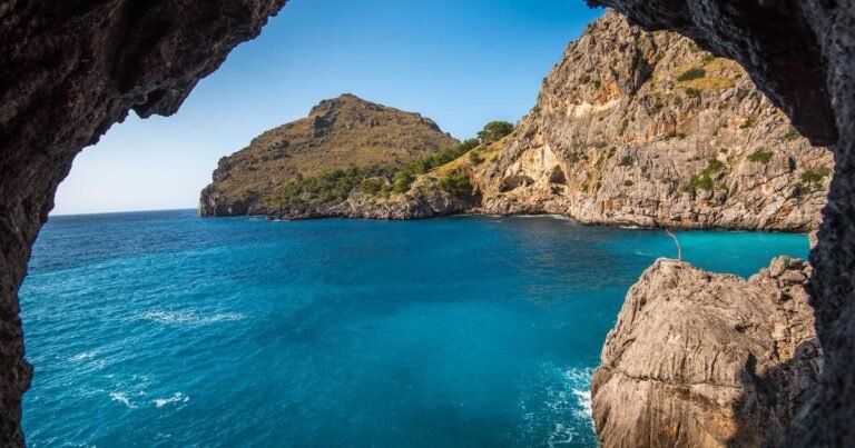 Immigration in 2026: Navigating Global Trends and Economic Implications