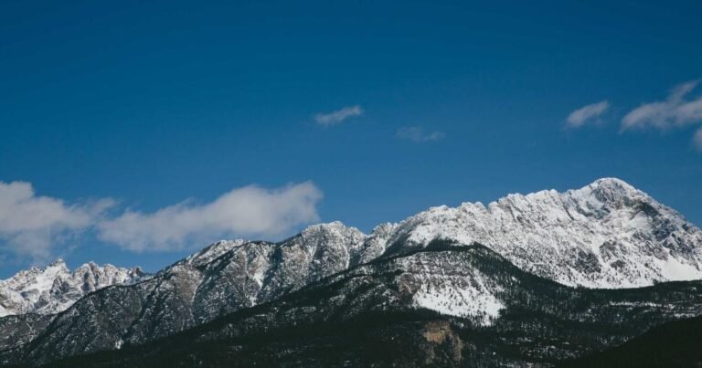 The Ultimate Guide to Health and Wellness: Latest Trends, Statistics, and Science-Backed Strategies for 2025