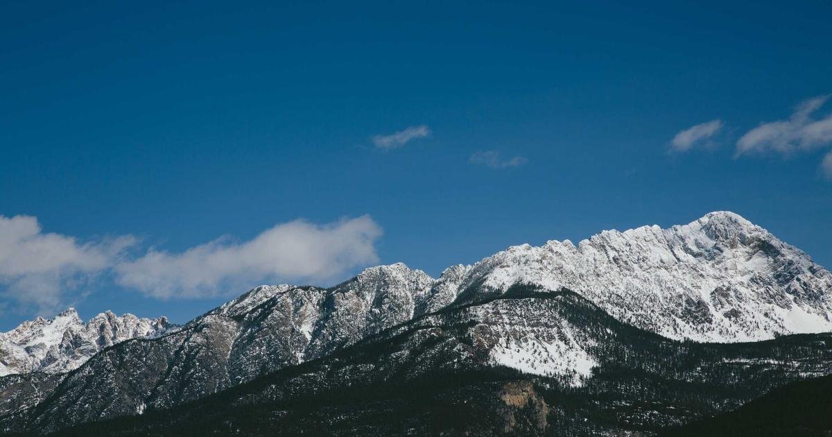 The Ultimate Guide to Health and Wellness: Latest Trends, Statistics, and Science-Backed Strategies for 2025